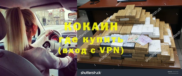 ГАЛЛЮЦИНОГЕННЫЕ ГРИБЫ Вяземский