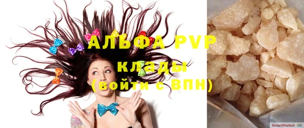 ГАЛЛЮЦИНОГЕННЫЕ ГРИБЫ Вяземский