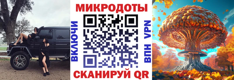 Галлюциногенные грибы Psilocybe купить Жуков