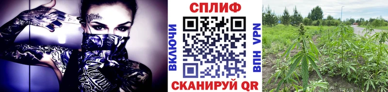 купить  цена  блэк спрут онион  Конопля план  площадка телеграм  Жуков 